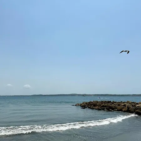 Mar Celeste *